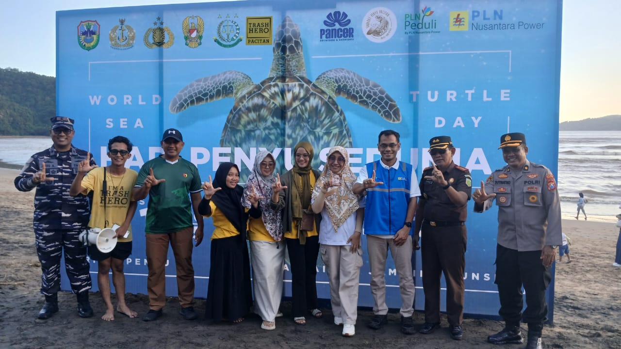 Peringatan Hari Penyu Sedunia 2025
